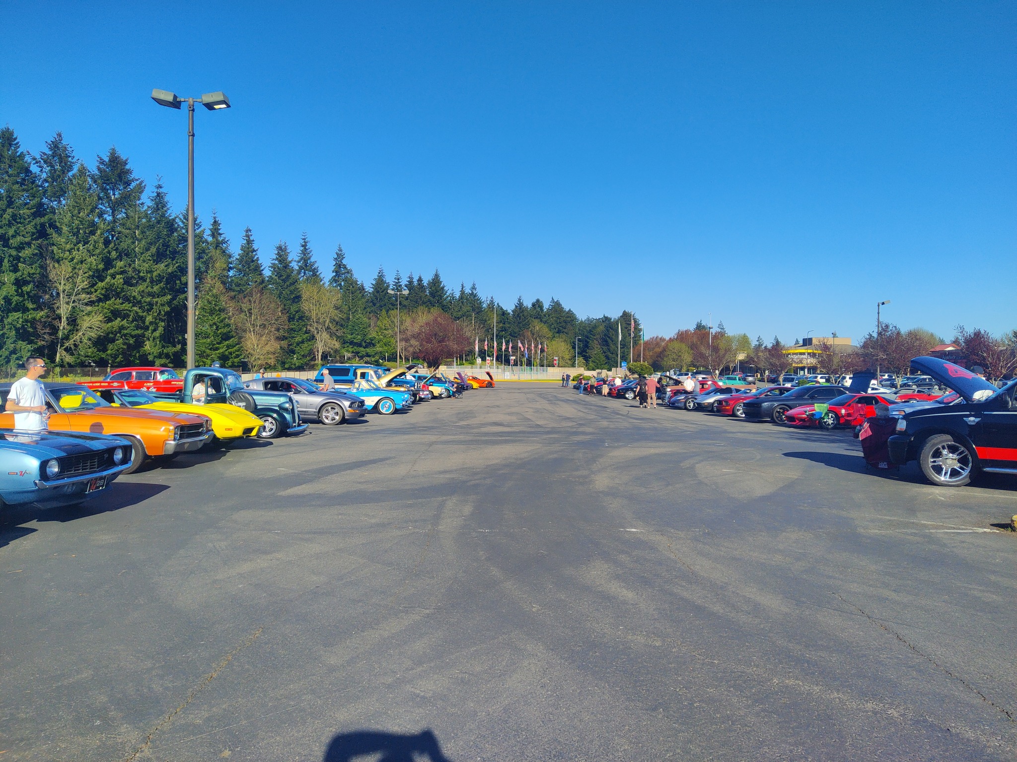 Thurston County Corvettes Cruise-In