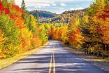 Fall Color Cruise