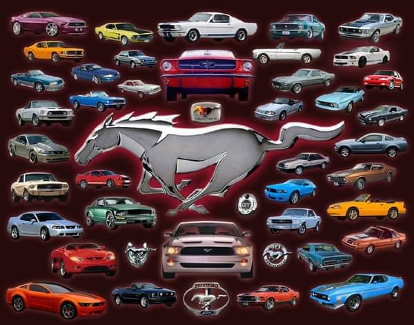 61st Anniversary of the Ford Mustang Celebration